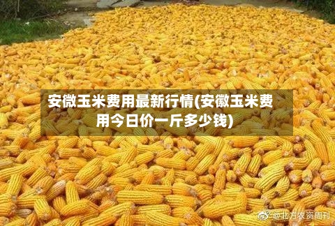 安微玉米费用最新行情(安徽玉米费用今日价一斤多少钱)