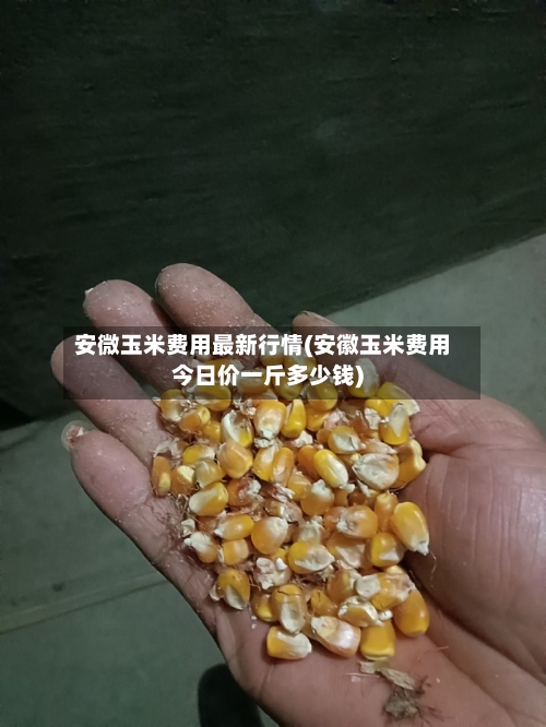 安微玉米费用最新行情(安徽玉米费用今日价一斤多少钱)-第2张图片