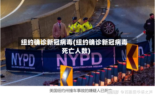 纽约确诊新冠病毒(纽约确诊新冠病毒死亡人数)