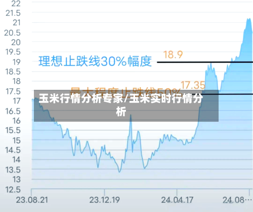 玉米行情分析专家/玉米实时行情分析