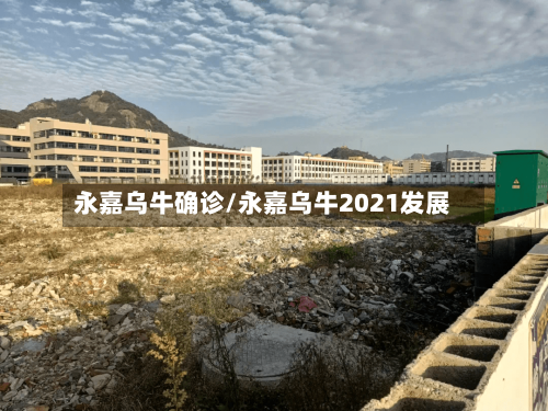永嘉乌牛确诊/永嘉乌牛2021发展-第2张图片