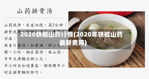 2020铁棍山药行情(2020年铁棍山药最新费用)-第2张图片
