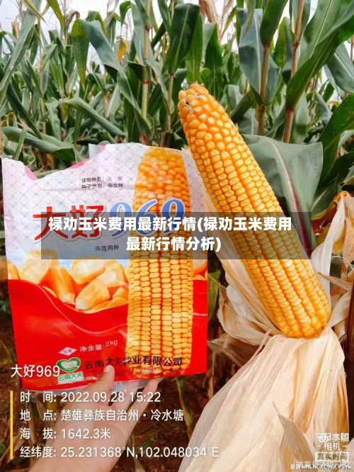 禄劝玉米费用最新行情(禄劝玉米费用最新行情分析)