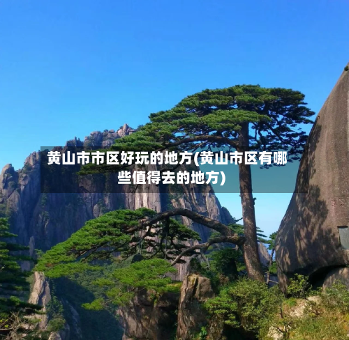 黄山市市区好玩的地方(黄山市区有哪些值得去的地方)