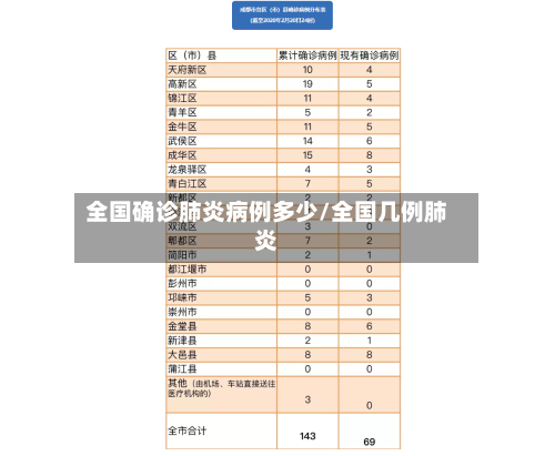 全国确诊肺炎病例多少/全国几例肺炎-第2张图片