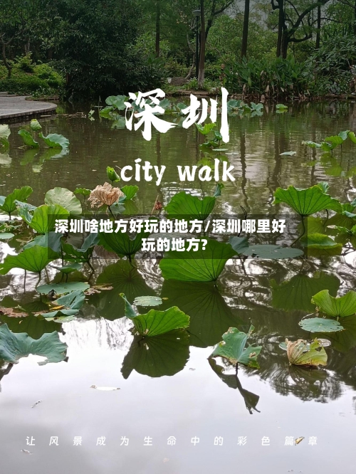 深圳啥地方好玩的地方/深圳哪里好玩的地方?-第2张图片