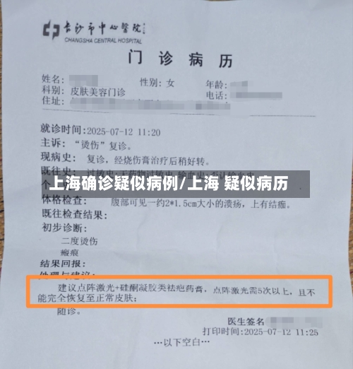 上海确诊疑似病例/上海 疑似病历