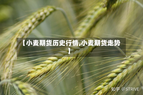 【小麦期货历史行情,小麦期货走势】-第3张图片