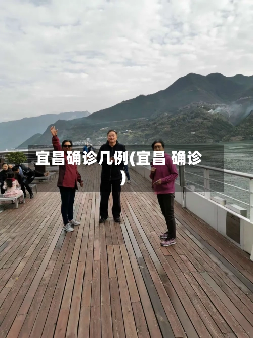 宜昌确诊几例(宜昌 确诊)