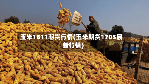 玉米1811期货行情(玉米期货1705最新行情)