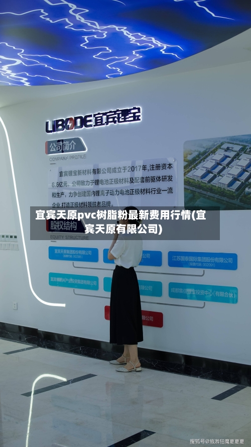 宜宾天原pvc树脂粉最新费用行情(宜宾天原有限公司)-第3张图片