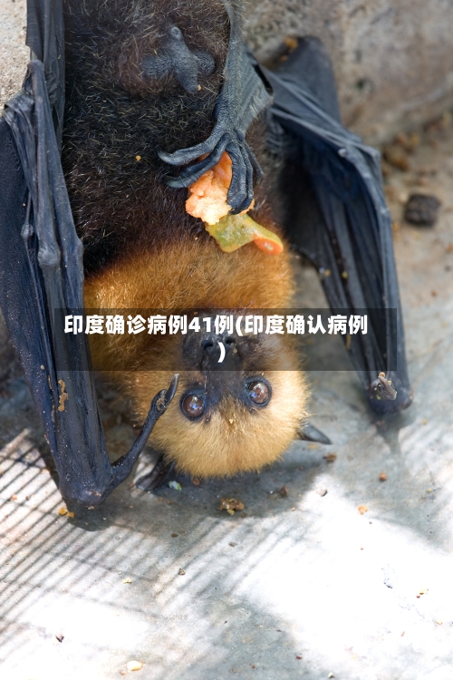 印度确诊病例41例(印度确认病例)
