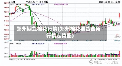 郑州期货棉花行情(郑州棉花期货费用行情走势图)-第3张图片