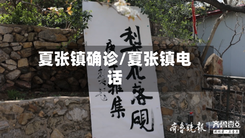 夏张镇确诊/夏张镇电话-第2张图片