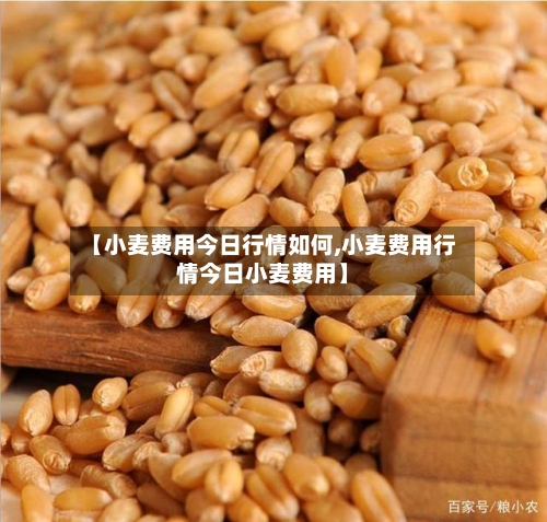 【小麦费用今日行情如何,小麦费用行情今日小麦费用】