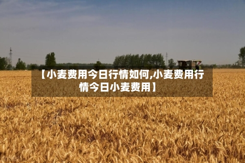【小麦费用今日行情如何,小麦费用行情今日小麦费用】-第3张图片