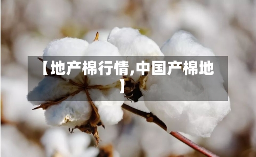 【地产棉行情,中国产棉地】-第2张图片