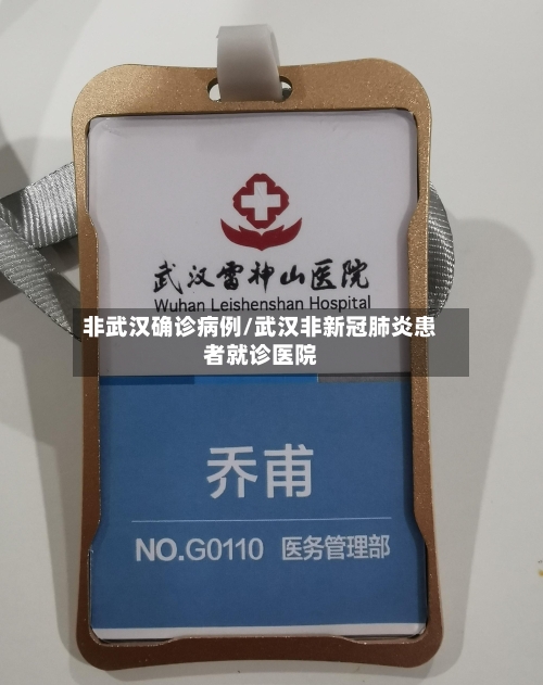 非武汉确诊病例/武汉非新冠肺炎患者就诊医院