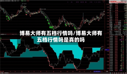 博易大师有五档行情吗/博易大师有五档行情吗是真的吗