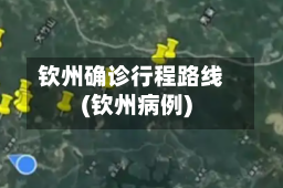 钦州确诊行程路线(钦州病例)-第2张图片