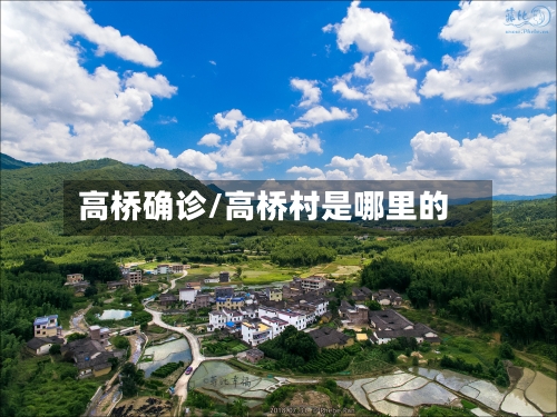 高桥确诊/高桥村是哪里的-第3张图片