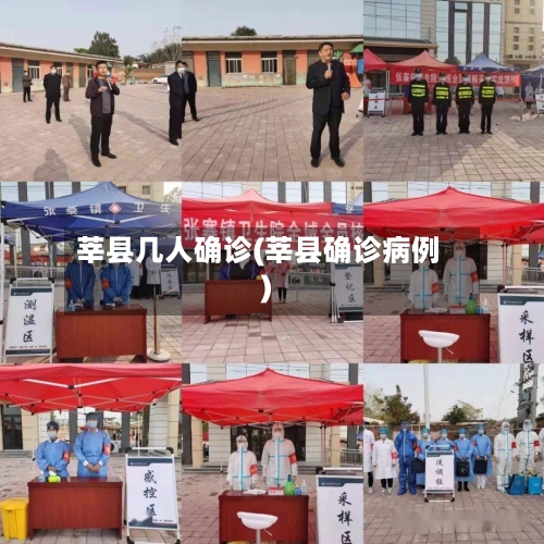 莘县几人确诊(莘县确诊病例)-第2张图片