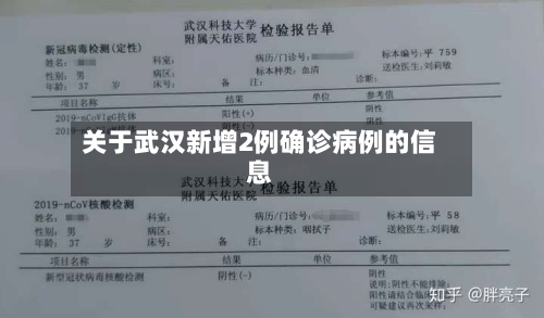 关于武汉新增2例确诊病例的信息-第2张图片