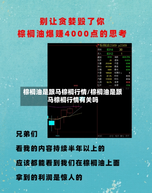 棕榈油是跟马棕榈行情/棕榈油是跟马棕榈行情有关吗