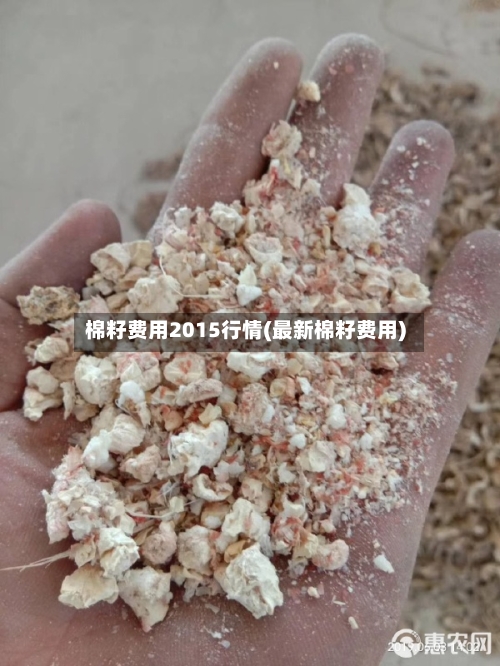 棉籽费用2015行情(最新棉籽费用)