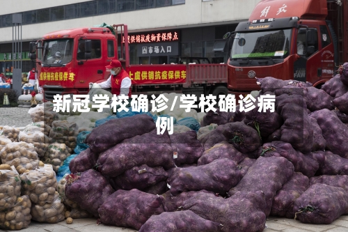 新冠学校确诊/学校确诊病例