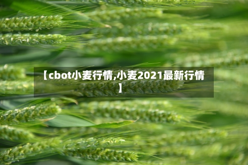 【cbot小麦行情,小麦2021最新行情】